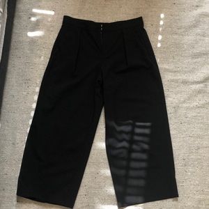 Babaton tailored cropped couloutes